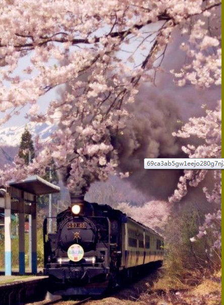 生日快乐，老公与你一起倒计时